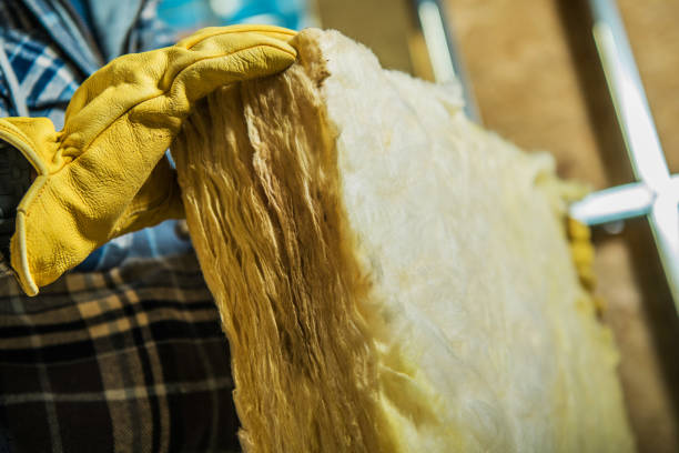 Best Residential Insulation in South Houston, TX