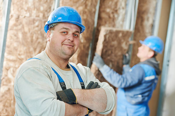 Best Geographic-Specific Insulation Services in South Houston, TX