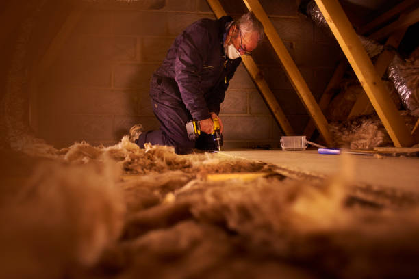 Best Insulation Maintenance and Repair in South Houston, TX